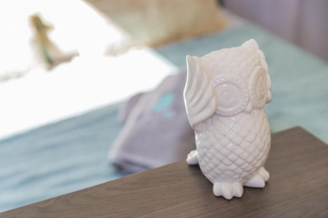 Cote Perdrix - Calme - Centre Ville - Animaux Admis ดีจอง ภายนอก รูปภาพ